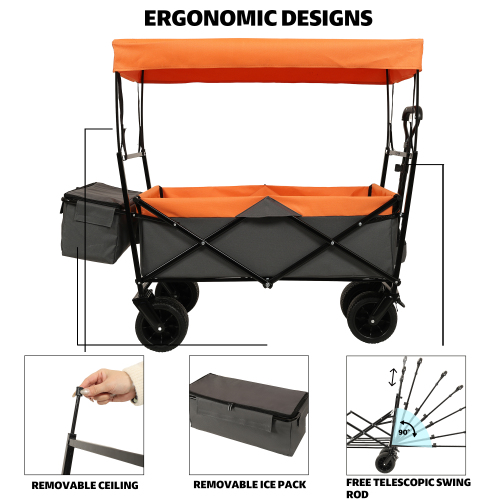 Collapsible Wagon with Canopy