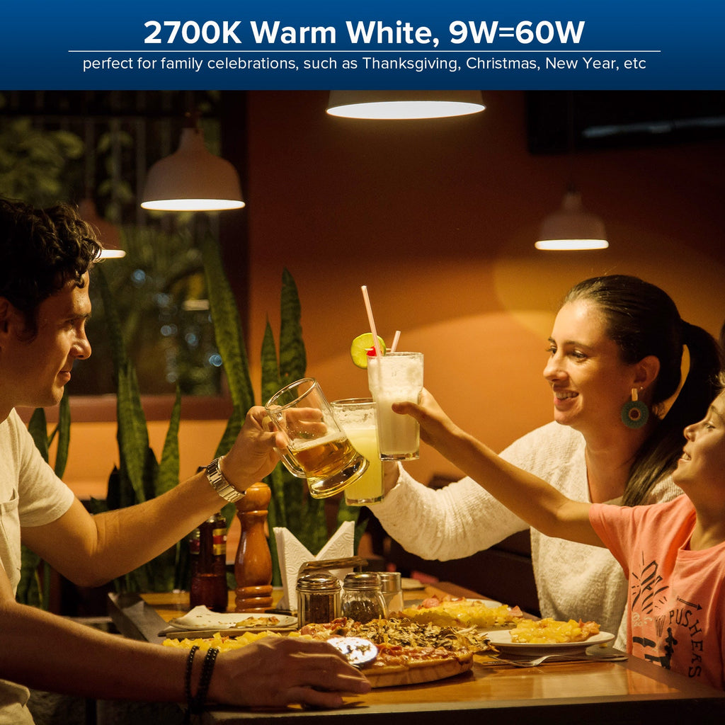 60W-Equivalent LED Light Bulbs (E26)