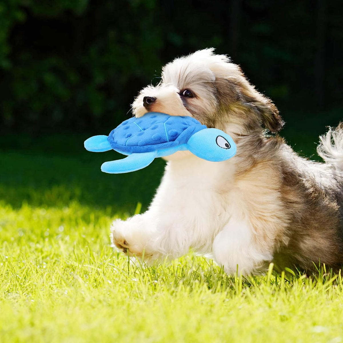 Squeaky Sea Turtle Dog Toy
