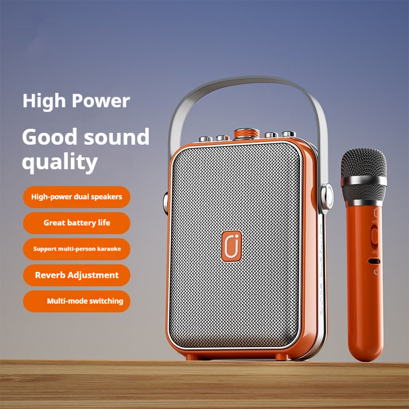 Outdoor Karaoke Speaker with Two Mics