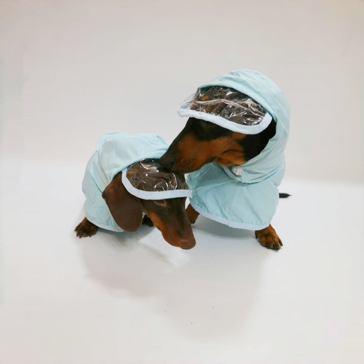 Dog Hooded Rain Poncho