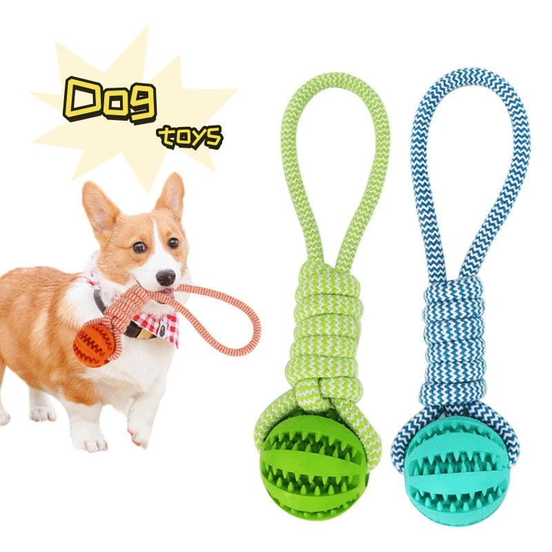Rope & Rubber Treat Ball