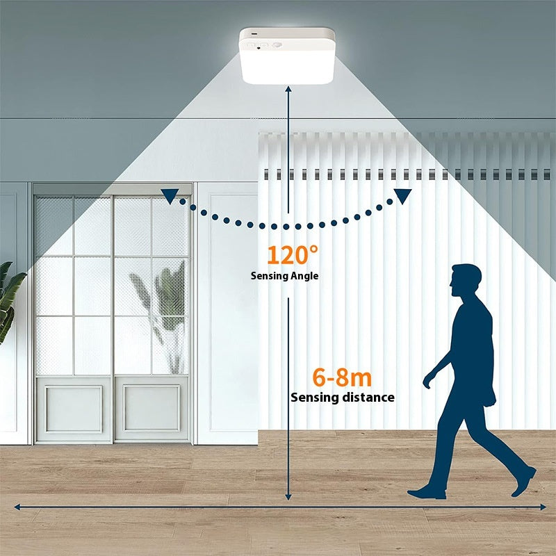 Rechargeable Motion Sensor Ceiling Light