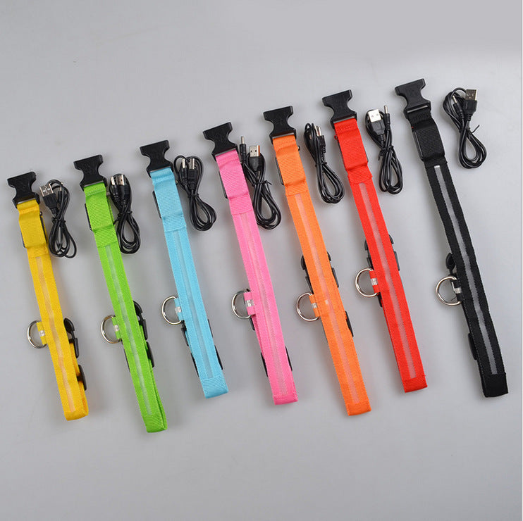 LED Light-Up Dog Collar