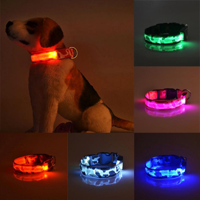 LED Light-Up Dog Collar