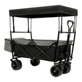 Collapsible Wagon with Canopy