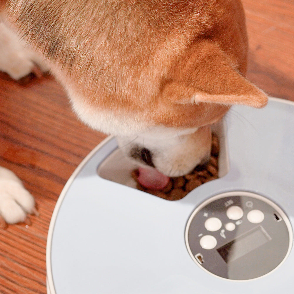 6-Meal Automatic Pet Feeder