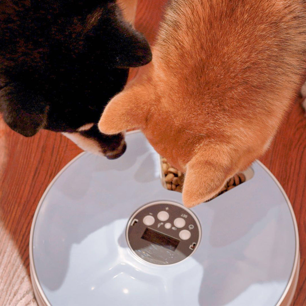 6-Meal Automatic Pet Feeder