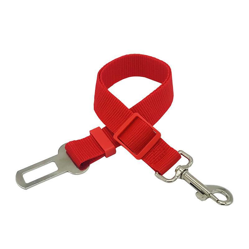 Retractable Dog Leash