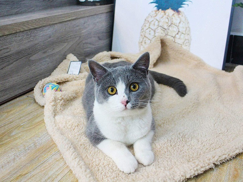 Plush Pet Blanket Mat