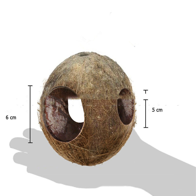 Coconut Shell Bird Feeder