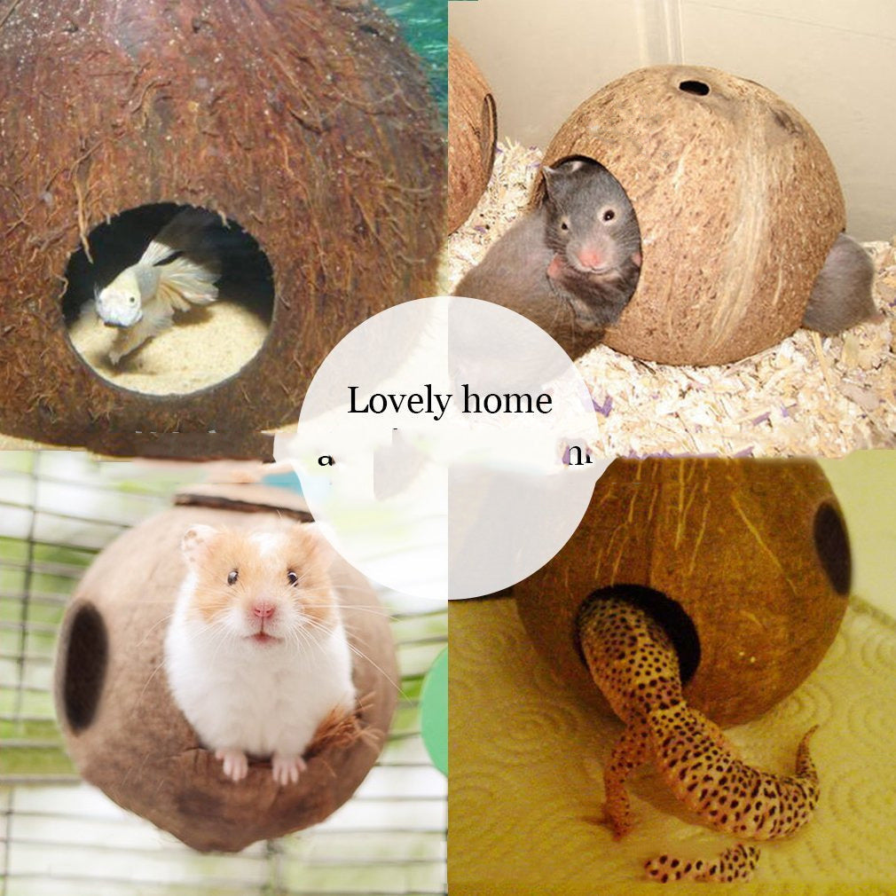 Coconut Shell Bird Feeder