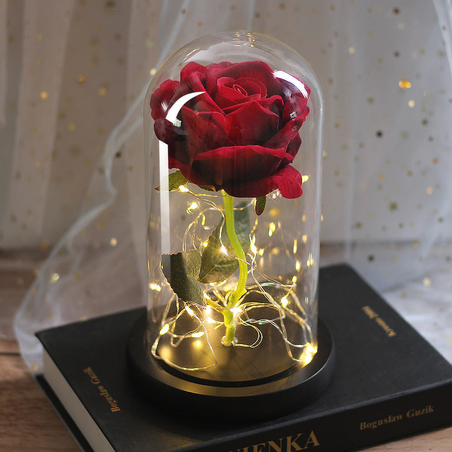 Eternal Rose in Glass Dome with LED Lights