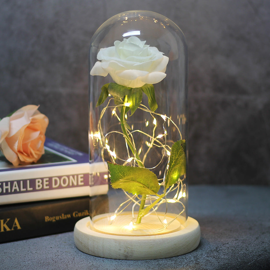 Eternal Rose in Glass Dome with LED Lights