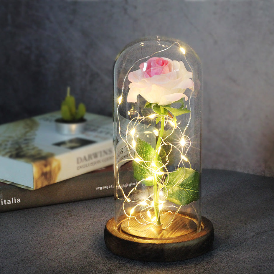 Eternal Rose in Glass Dome with LED Lights