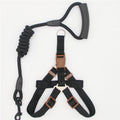 Nylon Dog Leash
