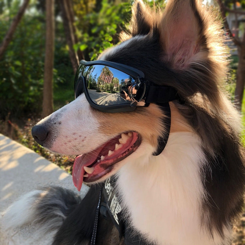 Cool Dog Sunglasses
