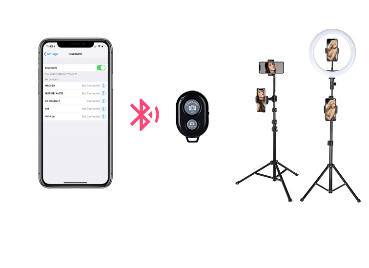 10-Inch Ring Light