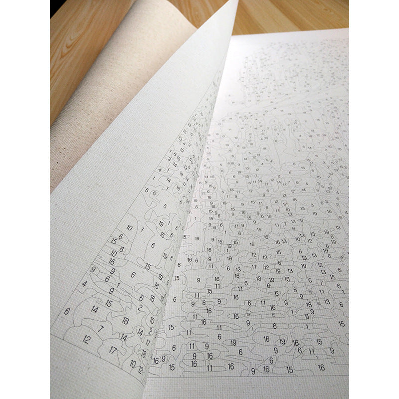 Ballet Paint-by-Numbers Kit