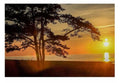 Flower Landscape Paint-by-Numbers Kit