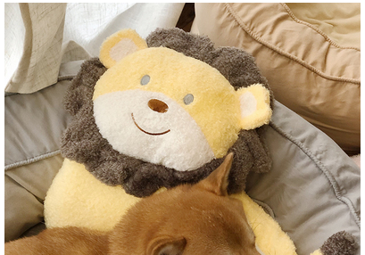 Animal Lumbar Pillow