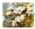 Daisy Paint-by-Numbers Kit