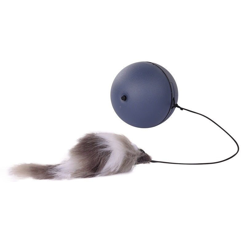 Rolling Mouse Teaser Ball