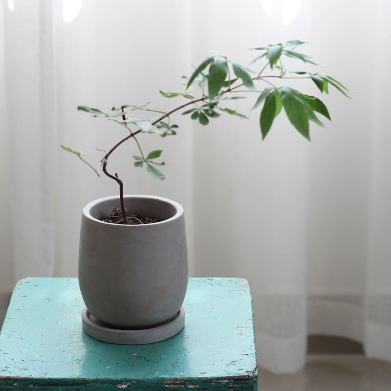 Round Concrete Planter