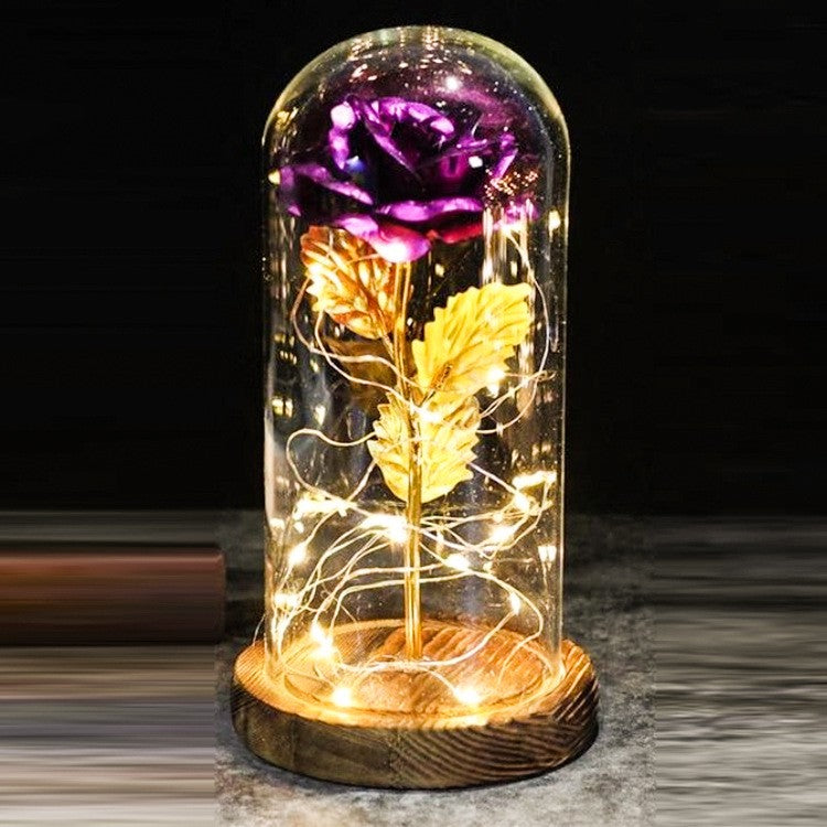 Eternal Rose in Glass Dome with LED Lights