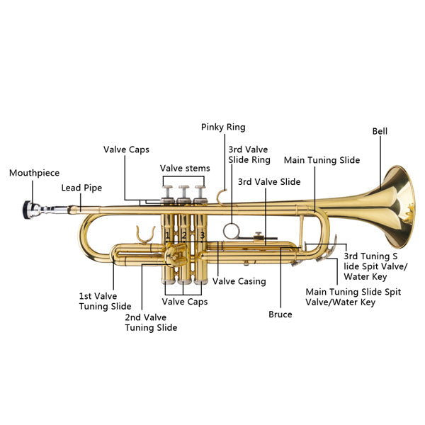 B-Flat Trumpet with Case & Gloves