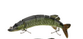 Multi-Jointed Swimbait Lure