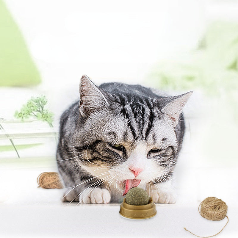 Rotating Catnip Ball