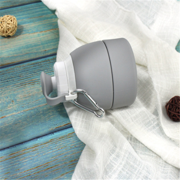 Collapsible Silicone Water Bottle