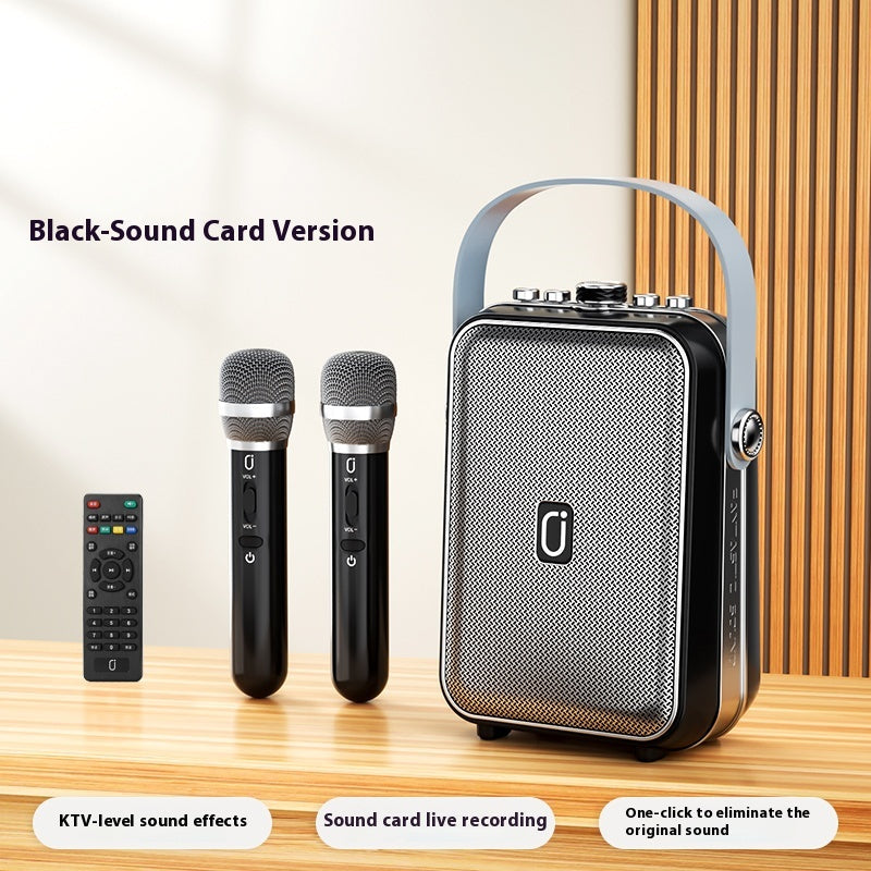 Outdoor Karaoke Speaker with Two Mics