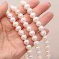Freshwater Pearl Bead Strand