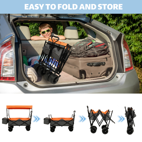 Collapsible Wagon with Canopy