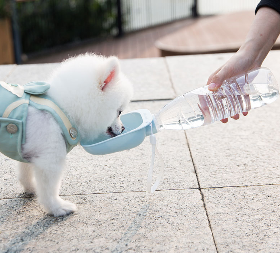 Portable Pet Water Bottle