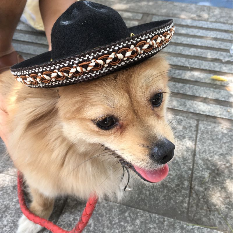 Pet Sombrero Hat