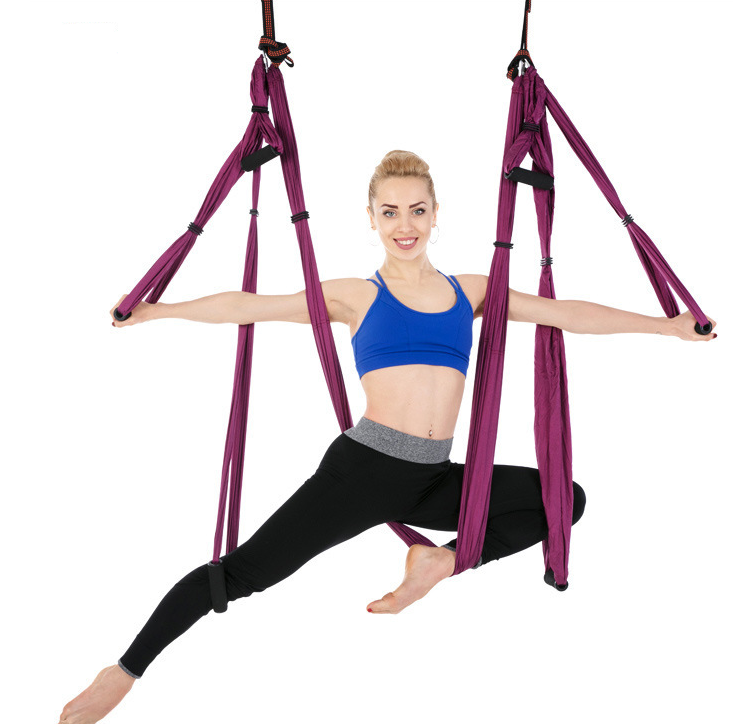 Aerial Yoga Hammock