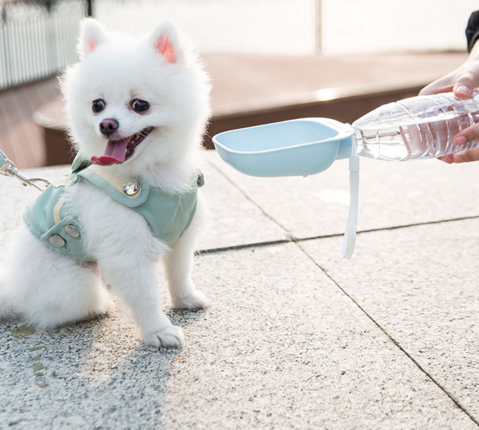 Portable Pet Water Bottle