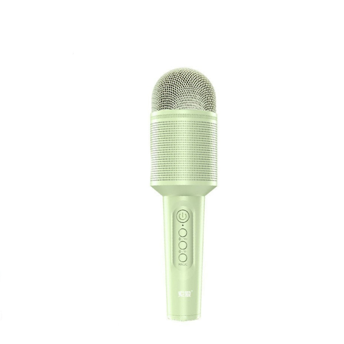 Karaoke Microphone with Built-In Speaker