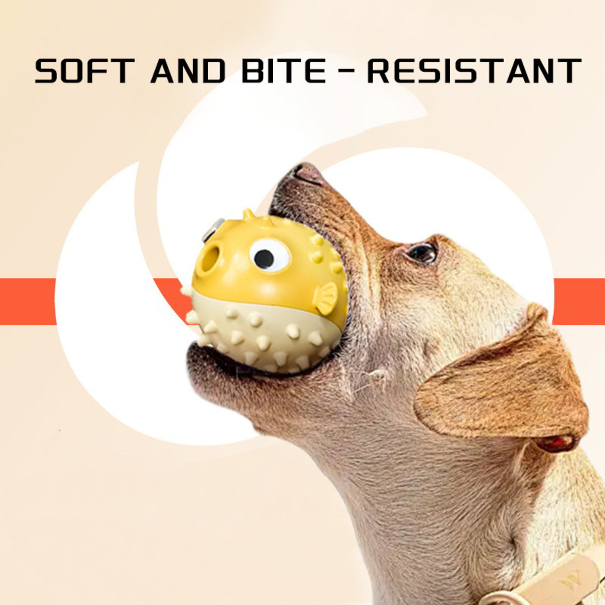 Fish Squeaky Chew Toy