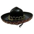 Pet Sombrero Hat