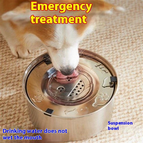 Large Stainless Pet Water Bowl