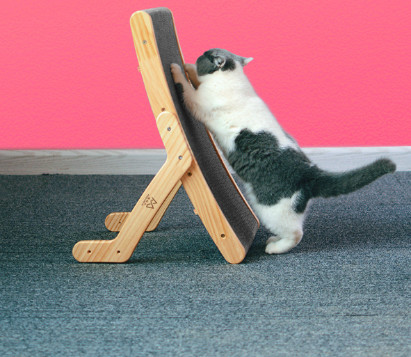 Convertible Cat Scratcher Bed