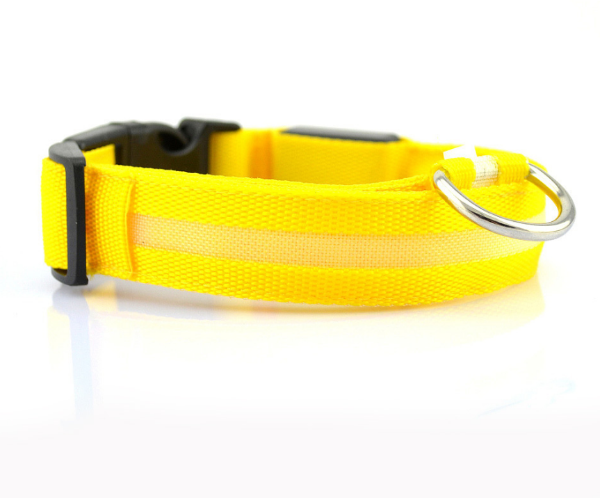 LED Light-Up Dog Collar