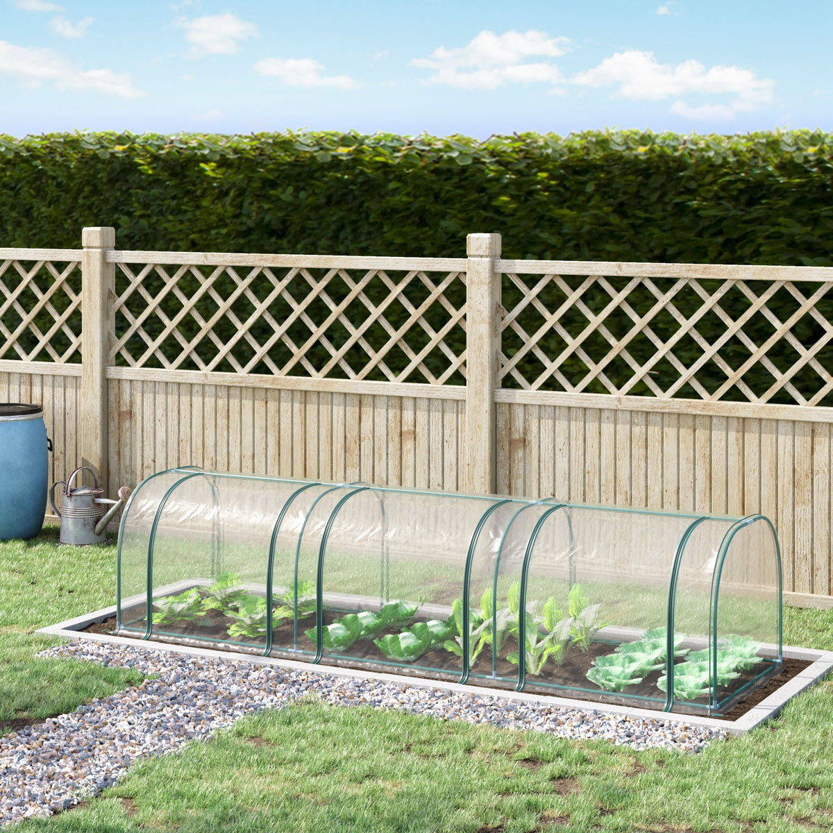 Tunnel Greenhouse with Steel Frame