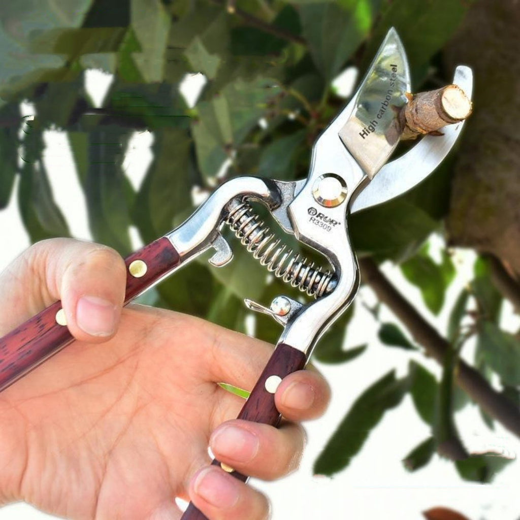 Garden Pruning Shears