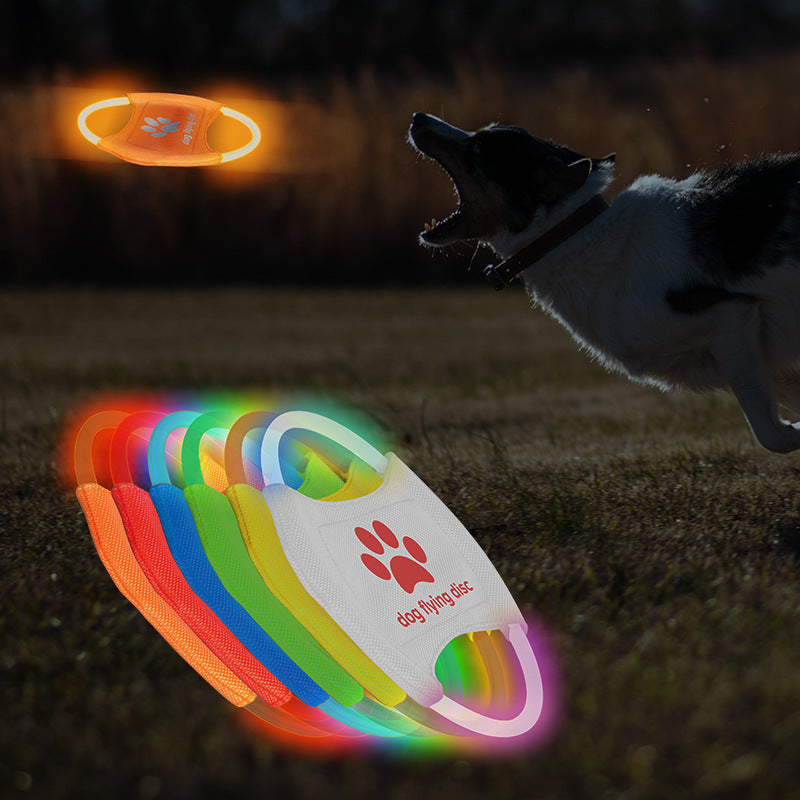 Light-Up Dog Flying Disc