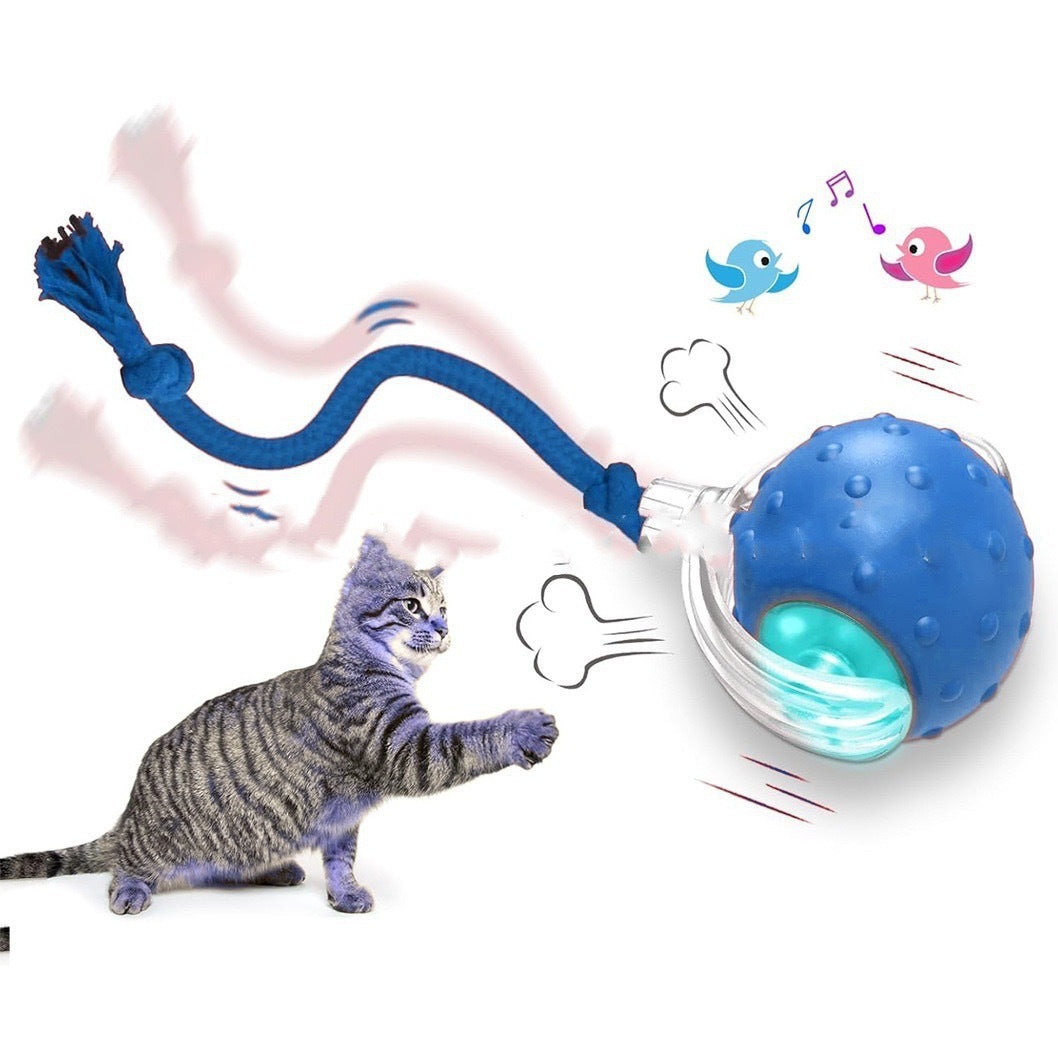 Automatic Rolling Cat Ball